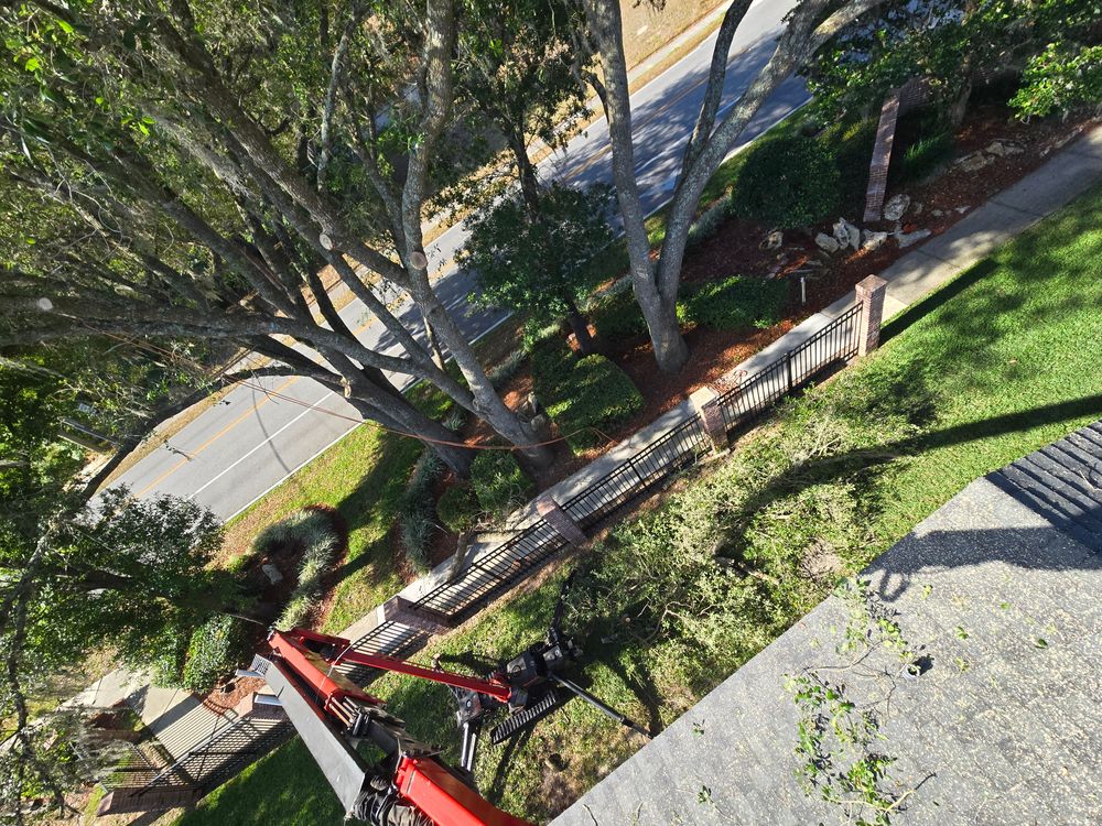 All Photos for Near Me Tree Service, Inc. in DeLand, FL