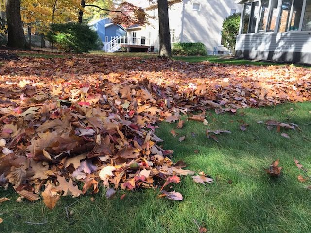 Fall Clean Up for Sosa Landscaping and Gardens, LLC in Clifton Park, New York