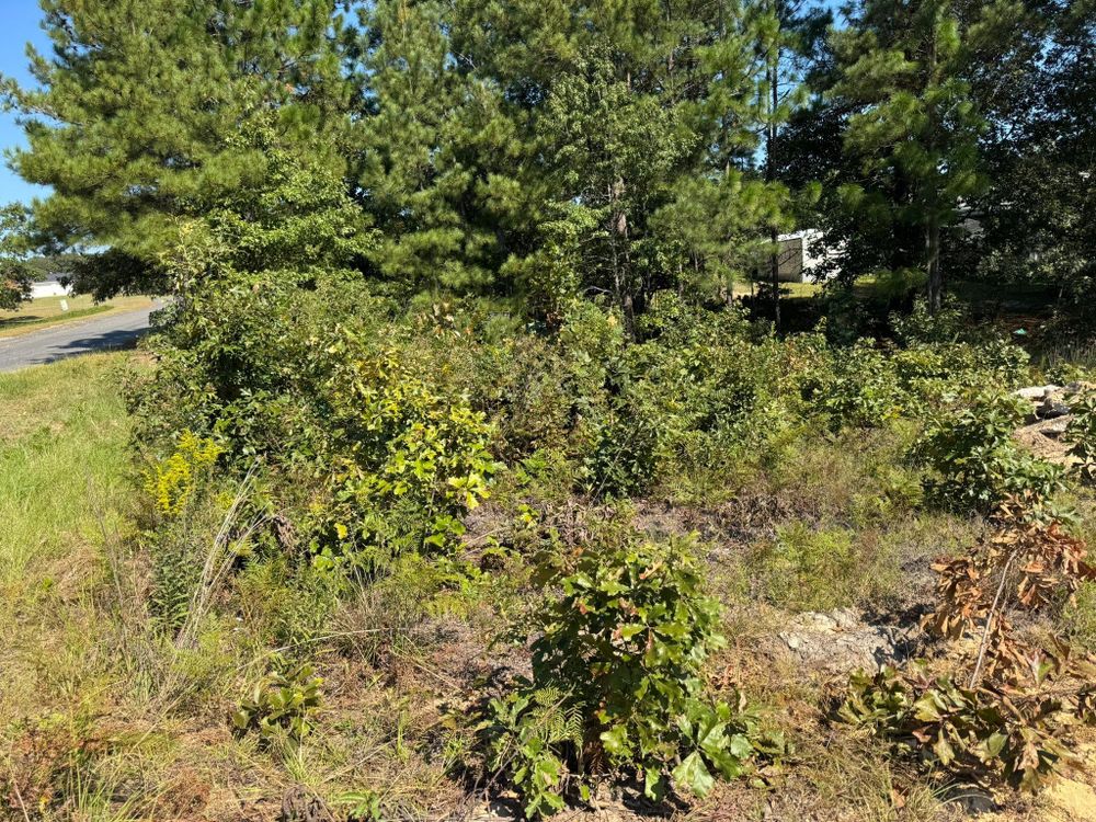 All Photos for Clean Acres in Hartsville, SC