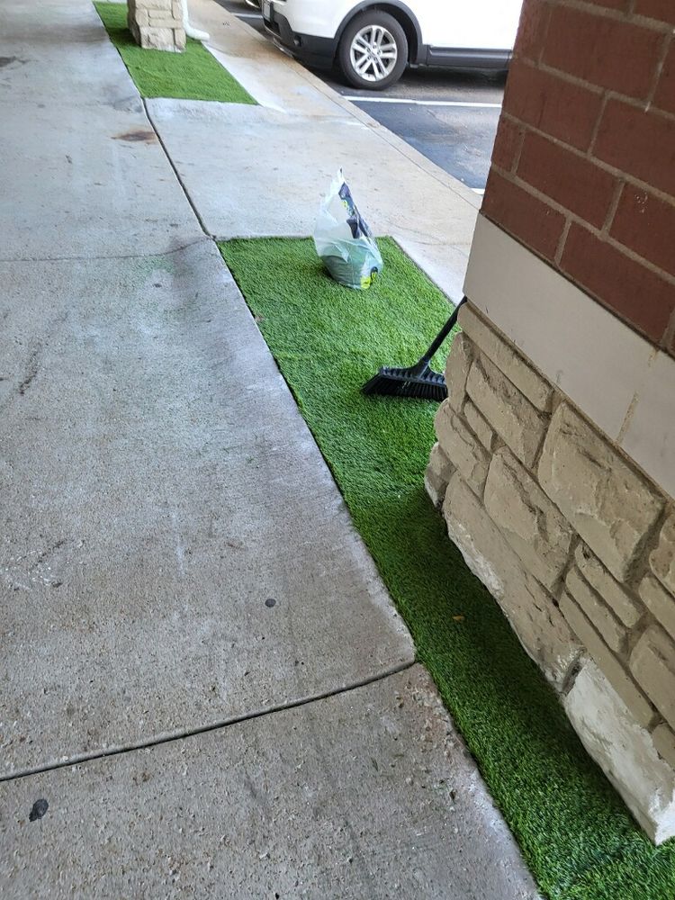 All Photos for Contemporary Landscape in St. Louis, MO