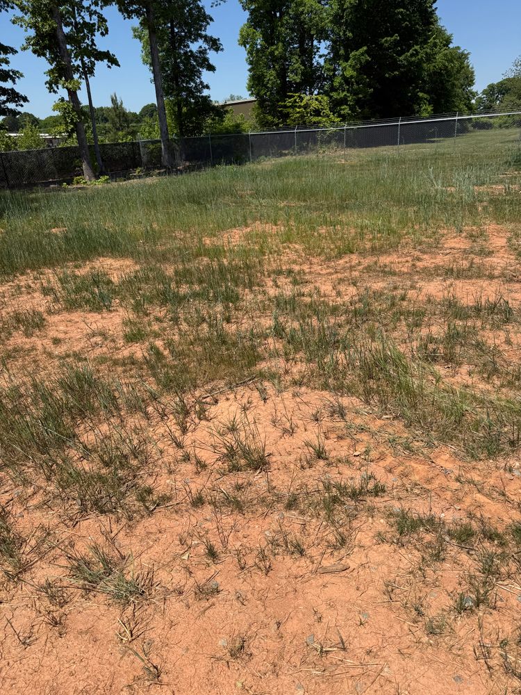 All Photos for CST Dirt Solutions in Rowan, NC