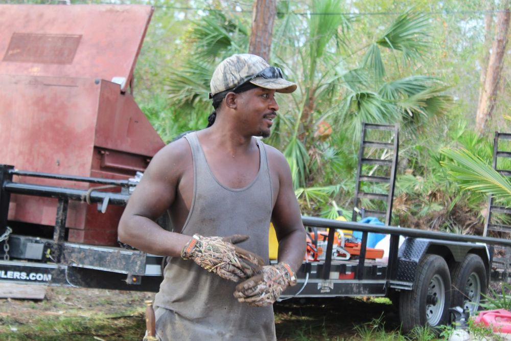 Tree Removal for American Tree Masters in Alvin, TX
