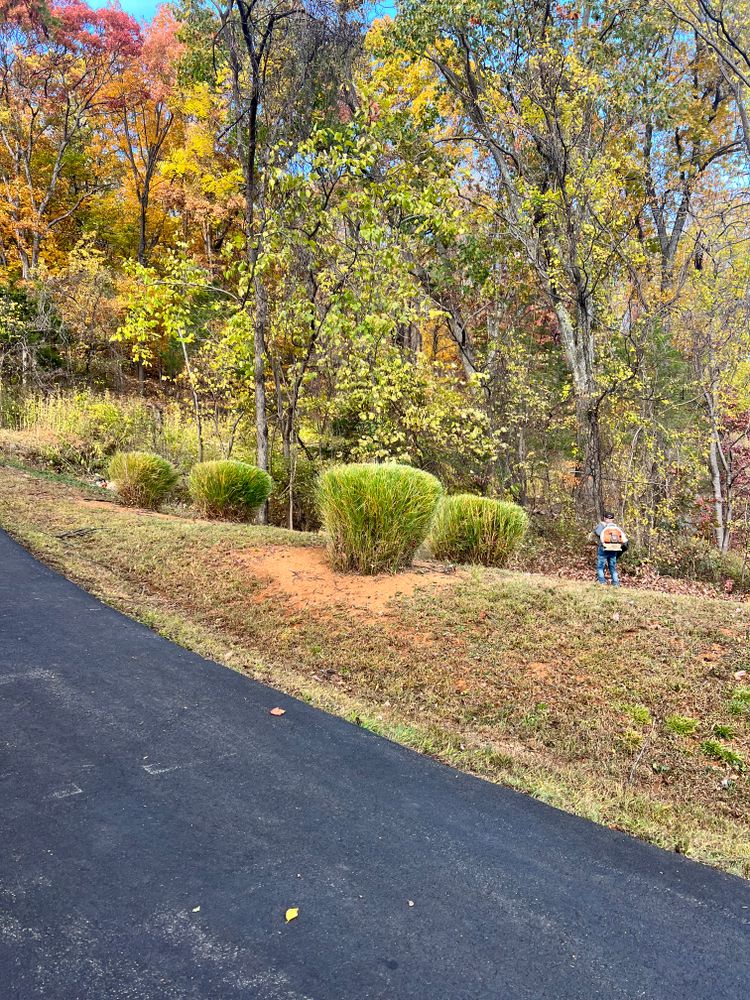 All Photos for Valencia’s Lawncare in Charlottesville, VA