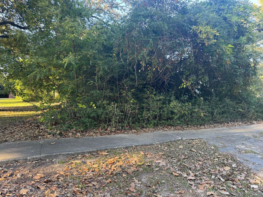 All Photos for Clean Acres in Hartsville, SC