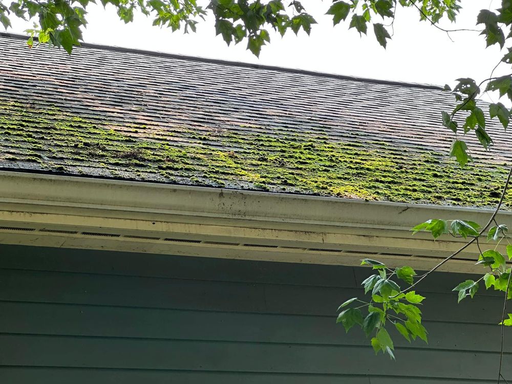 All Photos for Suter & Sons Painting in Amherst, Western Massachusetts