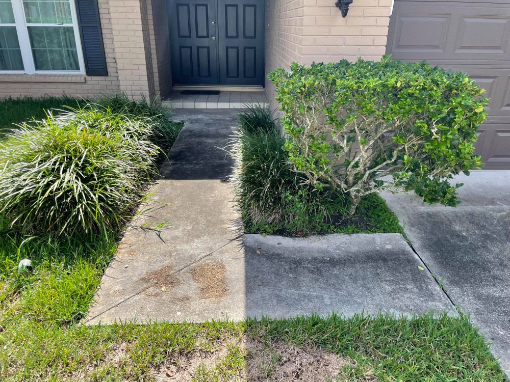 Residential Cleaning for Barr None Wash Pro in Tampa, FL