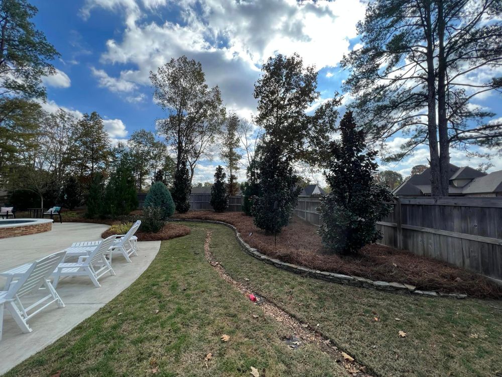 Landscaping for Amis Lawn and Landscape, LLC in Clinton, MS