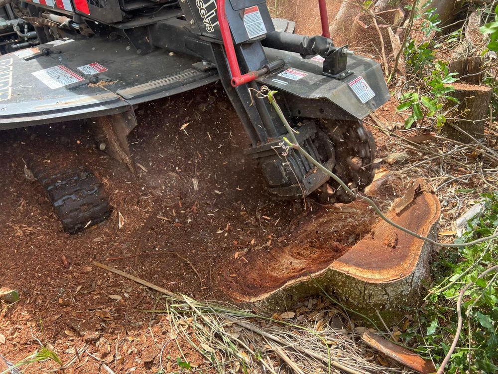 Stump Removal for Adam's Tree and Stump Care in Bradenton, Florida