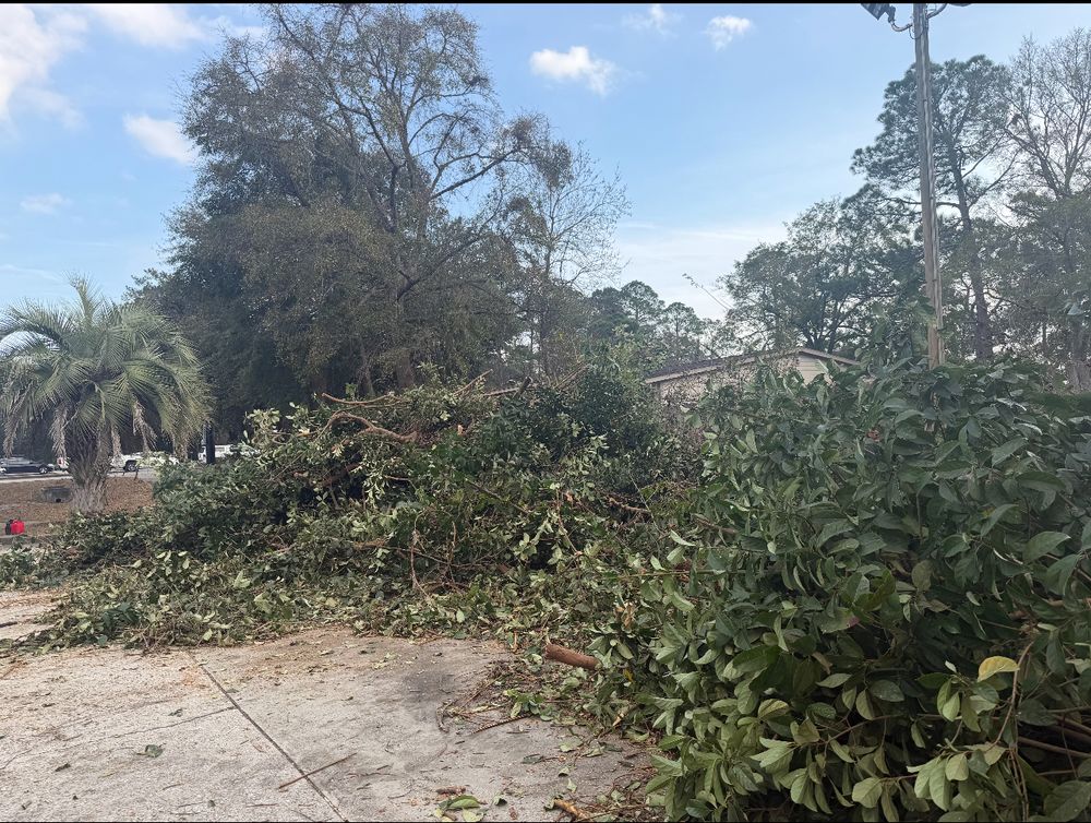 All Photos for Brandon Woodard’s Lawncare in Ludowici, GA