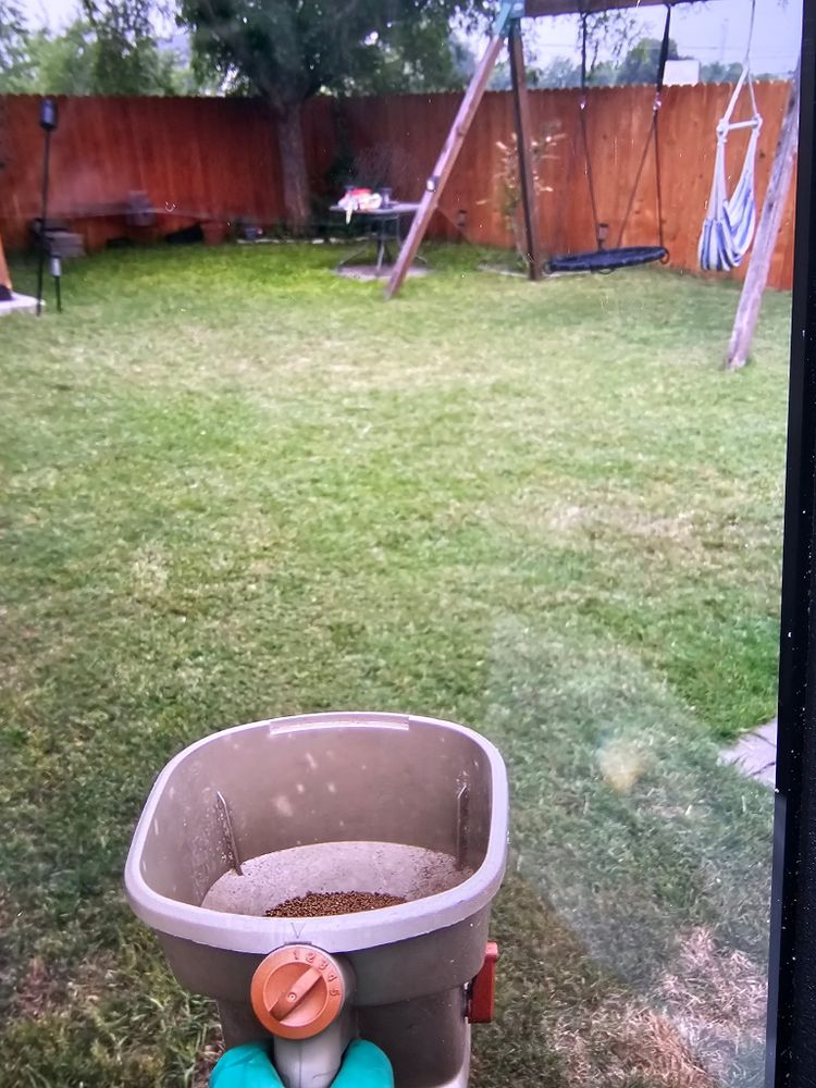 Our lawn care maintenance service ensures a lush, healthy landscape by providing expert mowing, fertilization, and seasonal clean-up. Trust our specialists to enhance your home's curb appeal seamlessly year-round. for Prosper Renovations in Kyle, TX