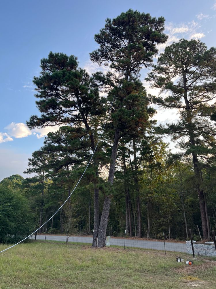 All Photos for JC Land and Tree Service in Kilgore, TX