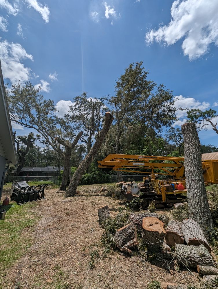 All Photos for Regal Tree Service and Stump Grinding in Wauchula, FL