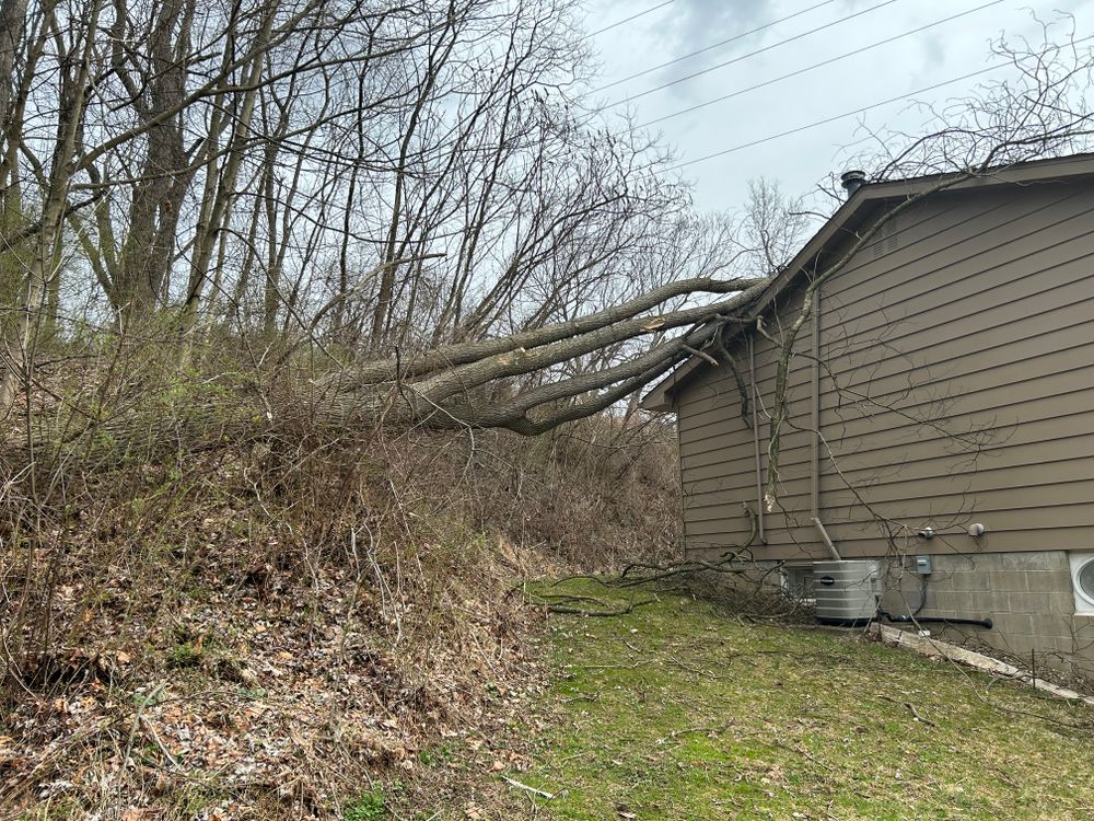 Emergency services  for JJ Tree Service in Gibsonia, PA