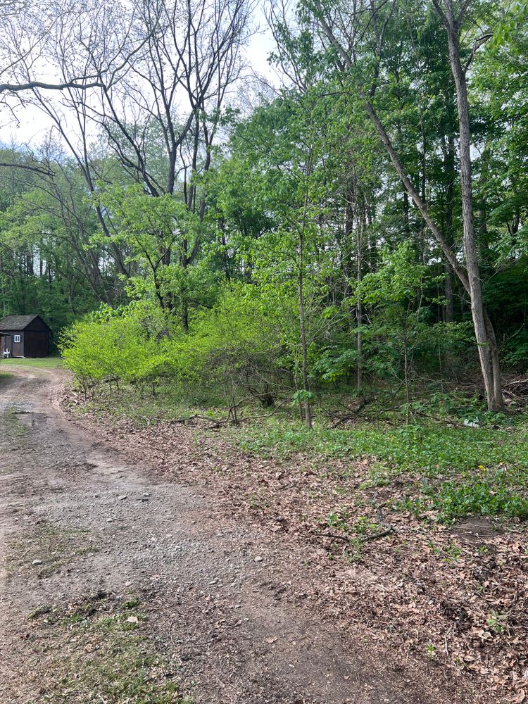 All Photos for Clarke Excavation Co. in Covington, VA