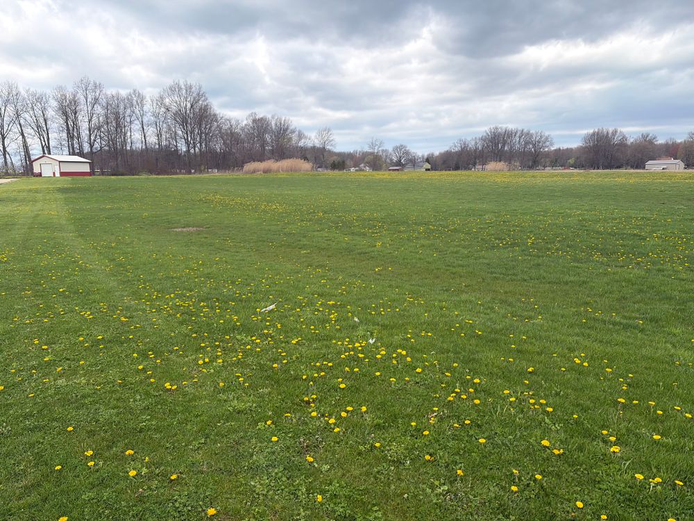 Natural Stone Hardscape for Youngstown Lawn & Patio Design in Canfield, OH