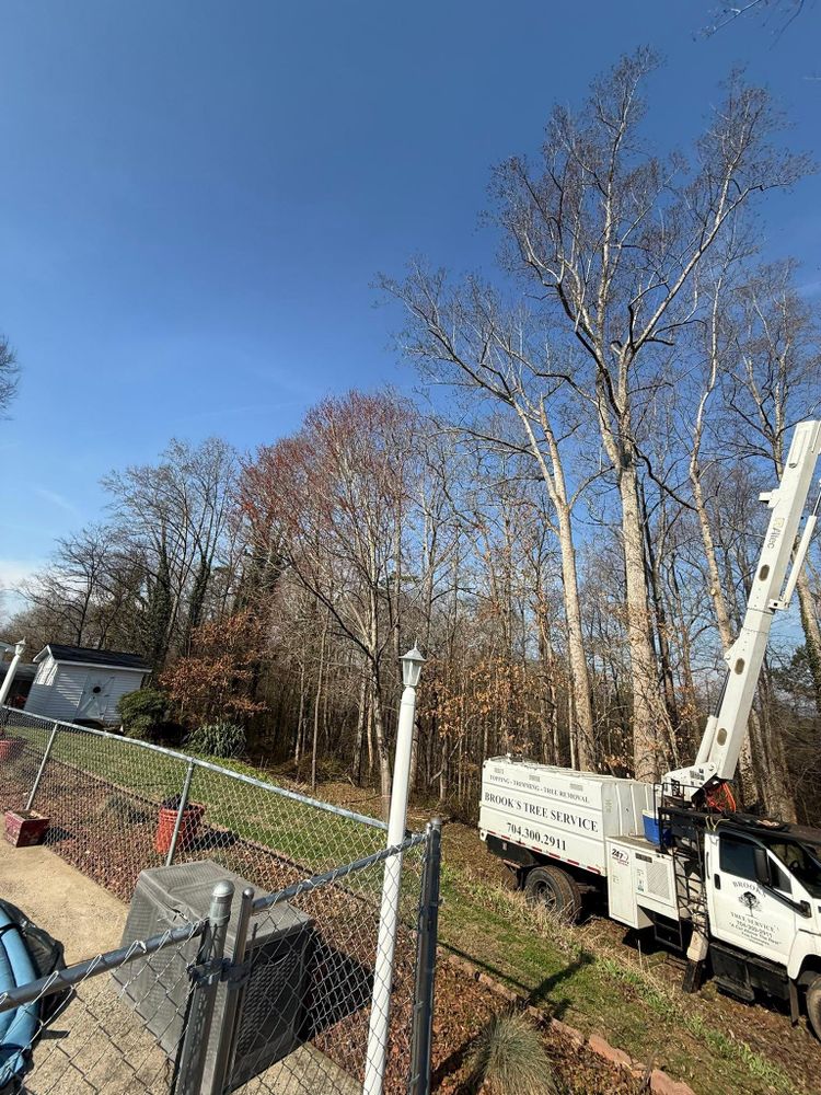 All Photos for Brooks Tree Service in Casar, NC