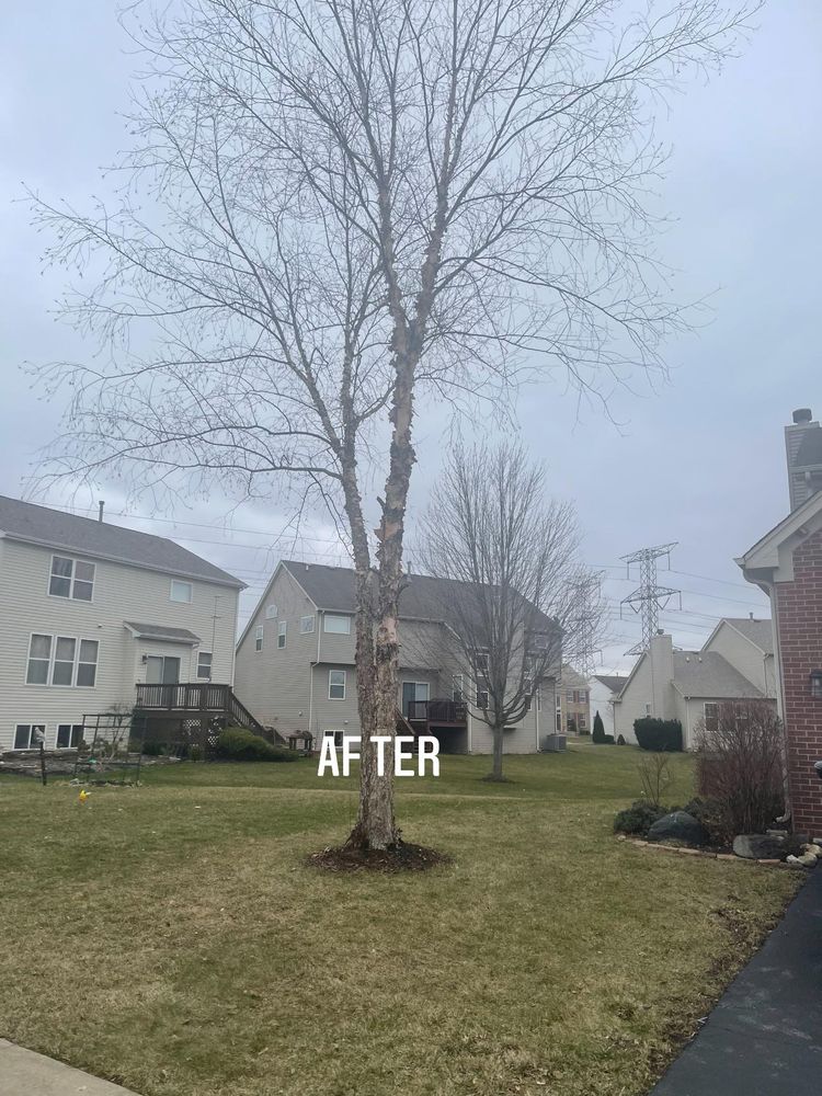 All Photos for Henry's Lawn Care in Rockford, IL
