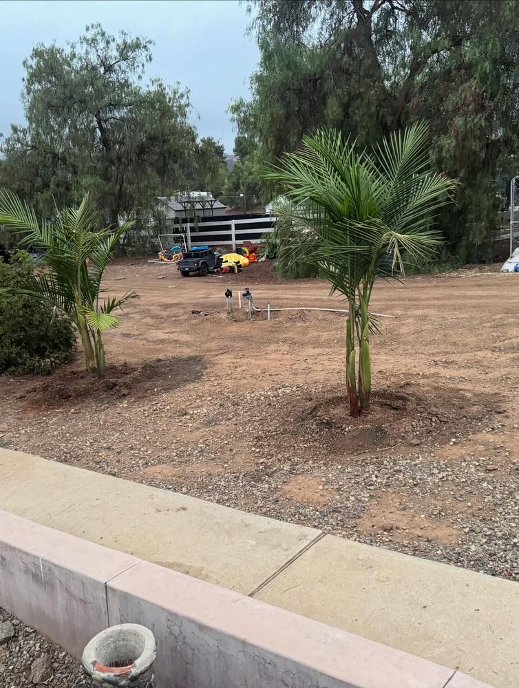 Transform your outdoor space with our expert Landscape Design service, tailored to create beautiful, functional environments that enhance the beauty of your home while reflecting your personal style. for Herreras Land Service in San Diego, CA