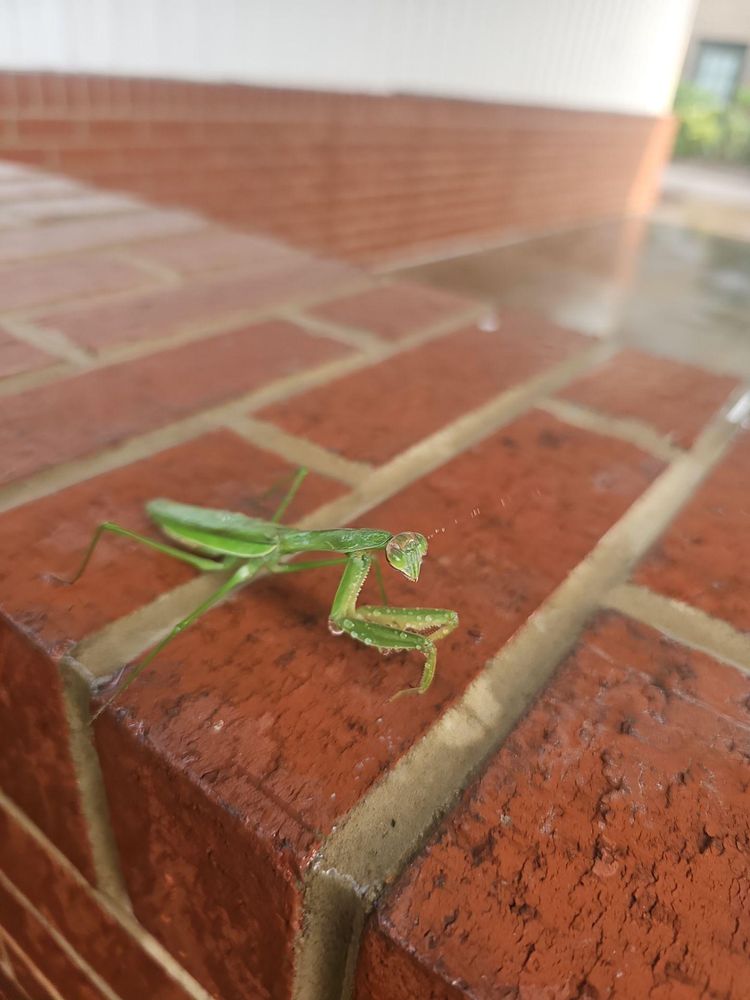 All Photos for Cumberland Gap Pro Wash LLC in Harrogate, Tennessee