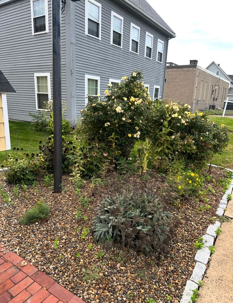 All Photos for Pote Landscaping in Wilmington, MA