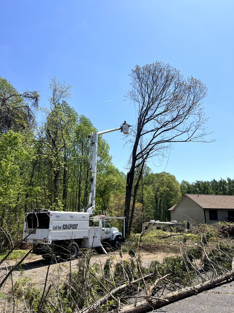 All Photos for Platinum Outdoor Services LLC in Conover, NC