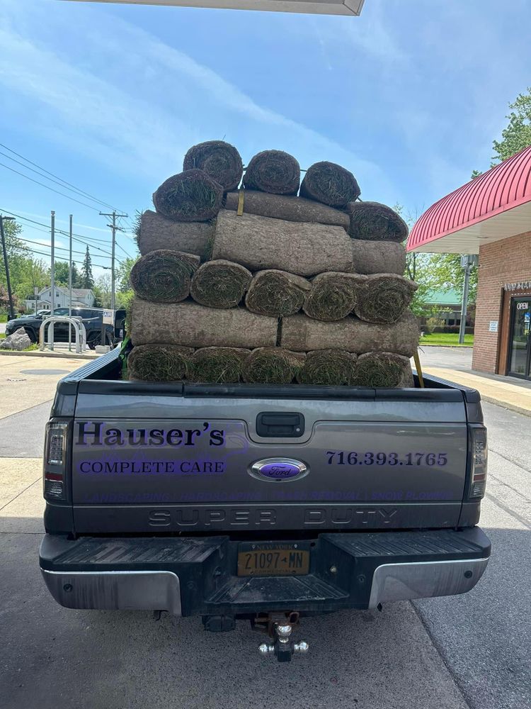 Residential & Commercial Lawn Rolling, Care and Maintenance for Hauser's Complete Care INC in Depew, NY