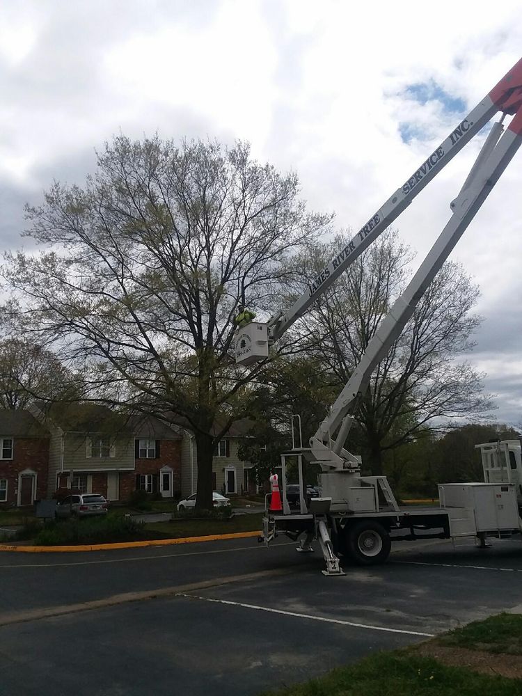 All Photos for James River Tree Service in Suffolk, VA