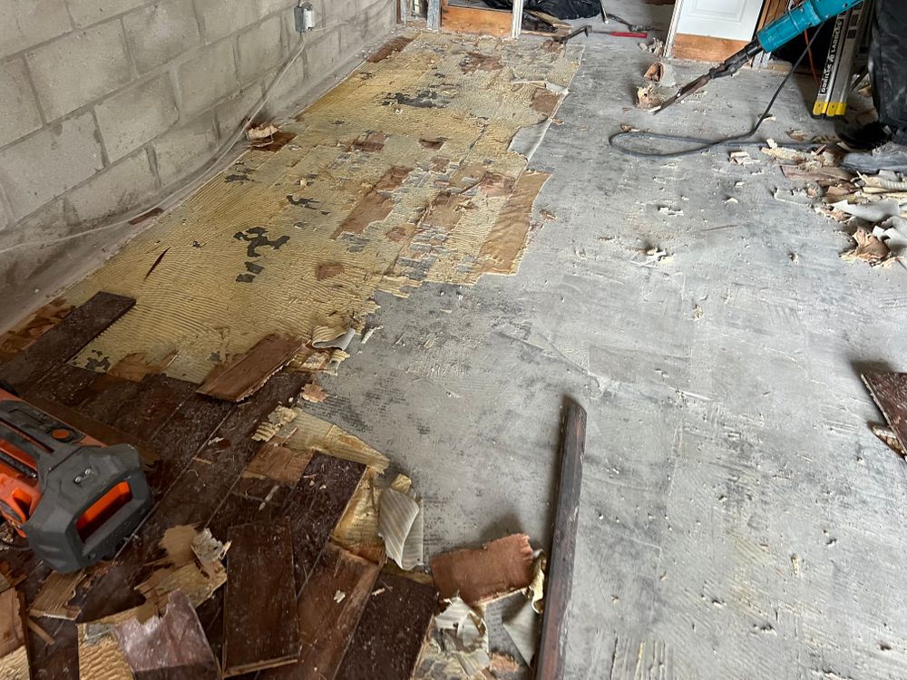 Mold Remediation for N&D Restoration Services When Disaster Attacks, We Come In in Cape Coral,  FL