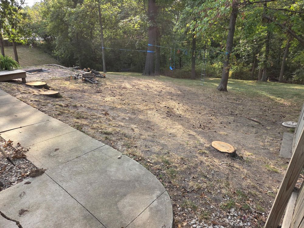 All Photos for Lawn Ranger Yard And Tree Service LLC in Ottumwa, IA