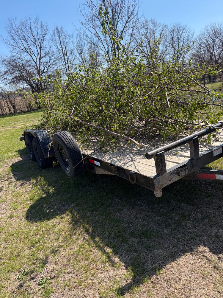 All Photos for Carter & Son’s LLC in Higginsville, MO