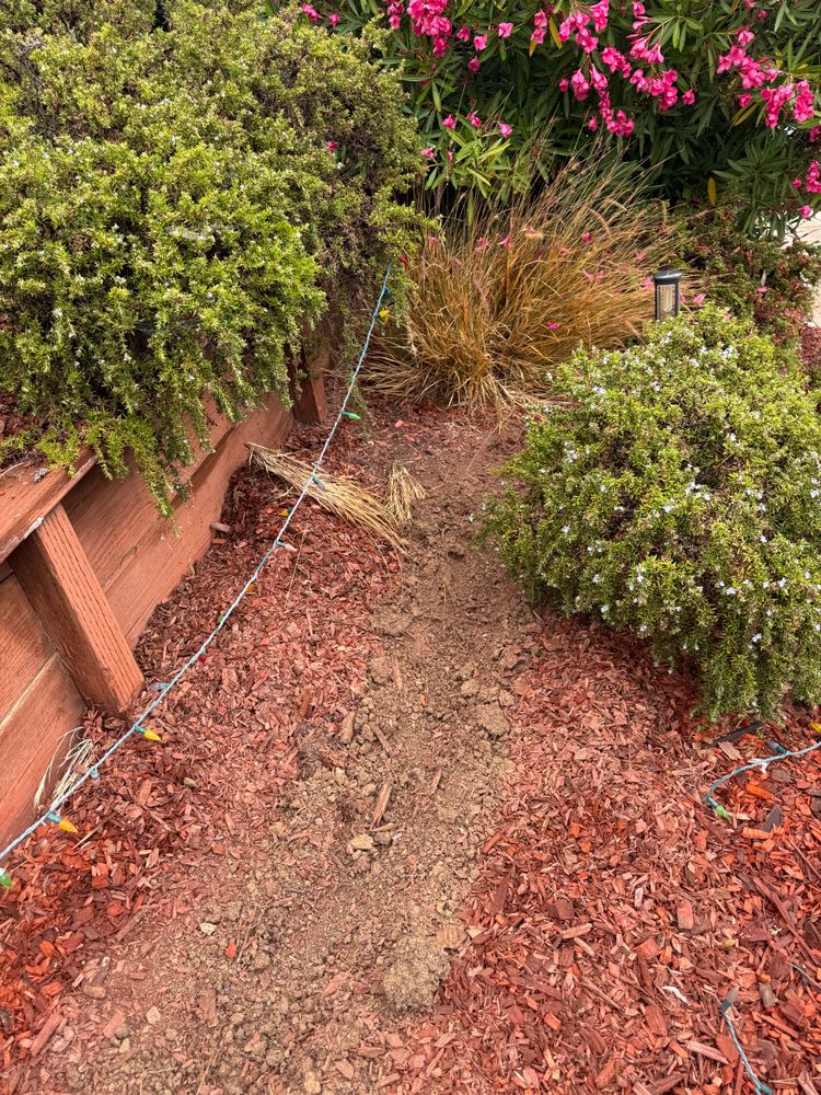 All Photos for CBA Landscaping in Hayward, CA