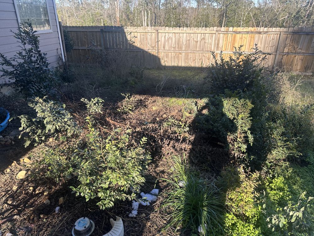 All Photos for Giles Land Management, LLC in Hahira, GA