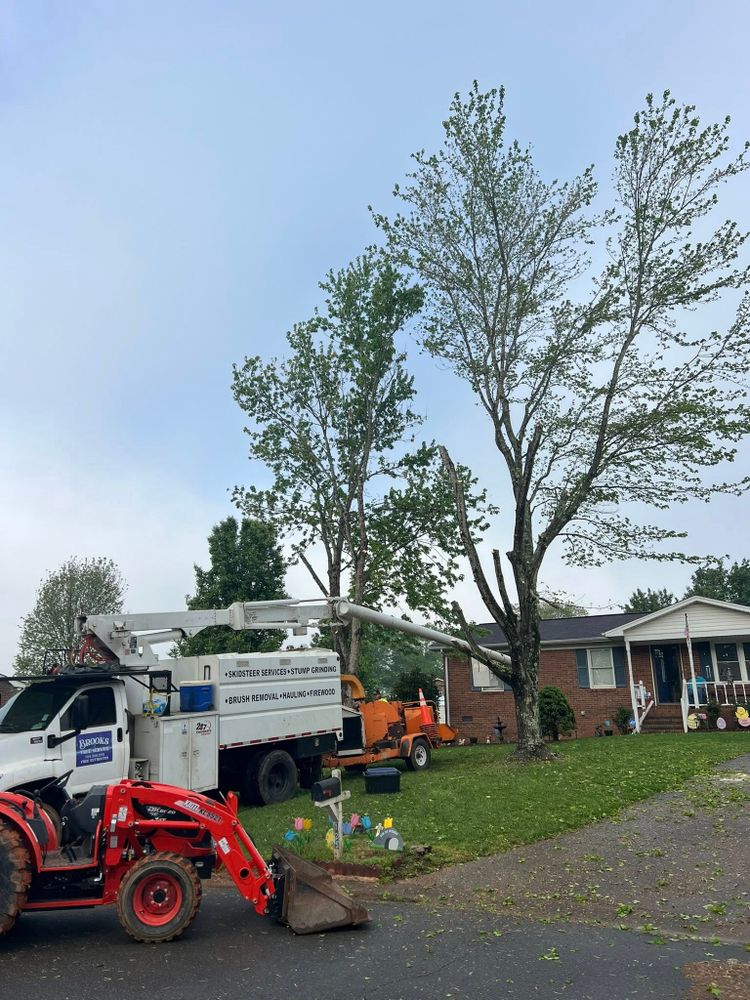 All Photos for Brooks Tree Service in Casar, NC