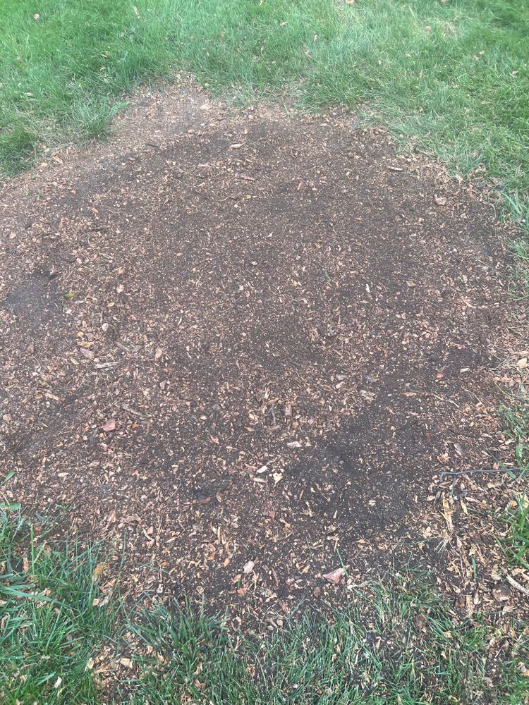 All Photos for Mark’s Mowing & Landscaping LLC  in Ashville, OH