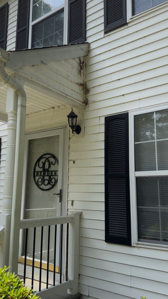 All Photos for LeafTide Solutions in Richmond, VA