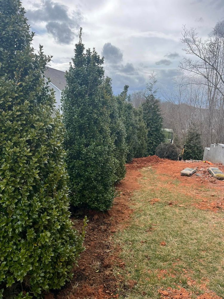 Our commercial landscaping service enhances your property's curb appeal with professional design and maintenance, ensuring a beautiful, functional outdoor space that reflects quality and dedication to excellence for homes and businesses. for S&R Landscaping and Nursery in Charlotte, NC