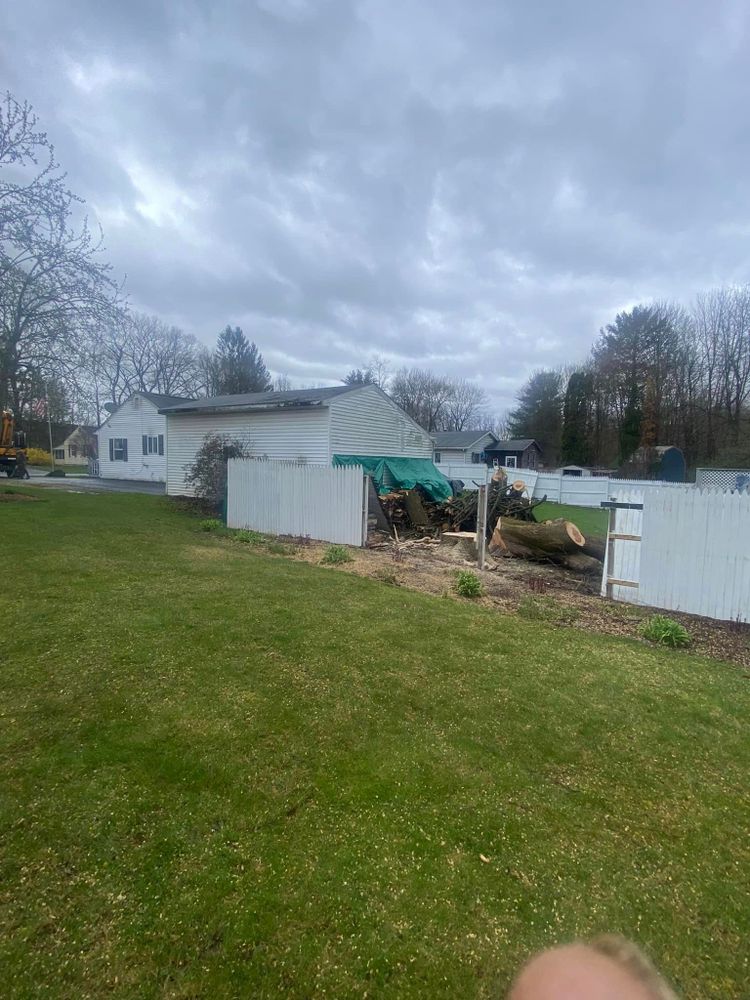 Tree Removal for Licensed to Cut in Athens, PA