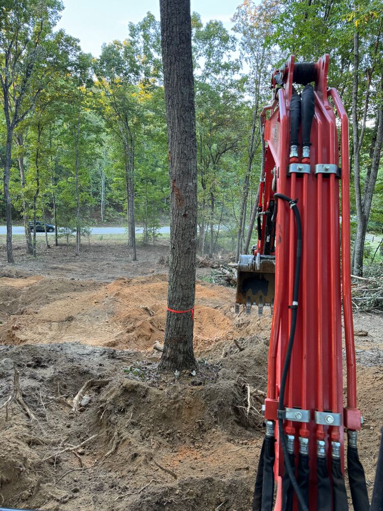 Our Tree Removal service ensures safe, efficient removal of unwanted trees with minimal disruption to your property, enhancing landscape aesthetics and increasing safety while utilizing expert techniques and modern equipment. for Leal’s Lawn Service and Excavation in Dayton, TN