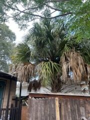 All Photos for Perfect MOs Landscaping in Hudson, FL