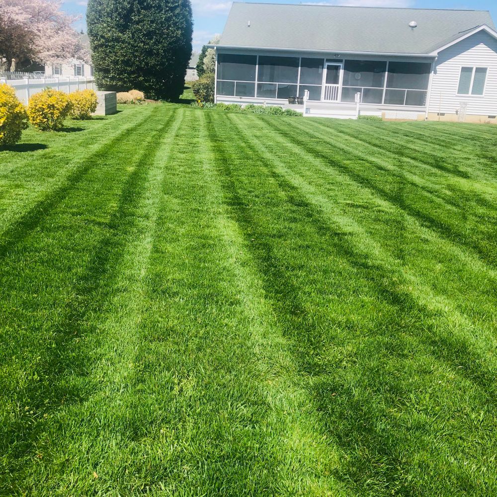 Our Lawn Maintenance service keeps your yard healthy, neat, and beautiful with dependable mowing, edging, trimming, and seasonal care—saving you time while enhancing curb appeal all year long. for Lawn pro services llc. in Georgetown, DE