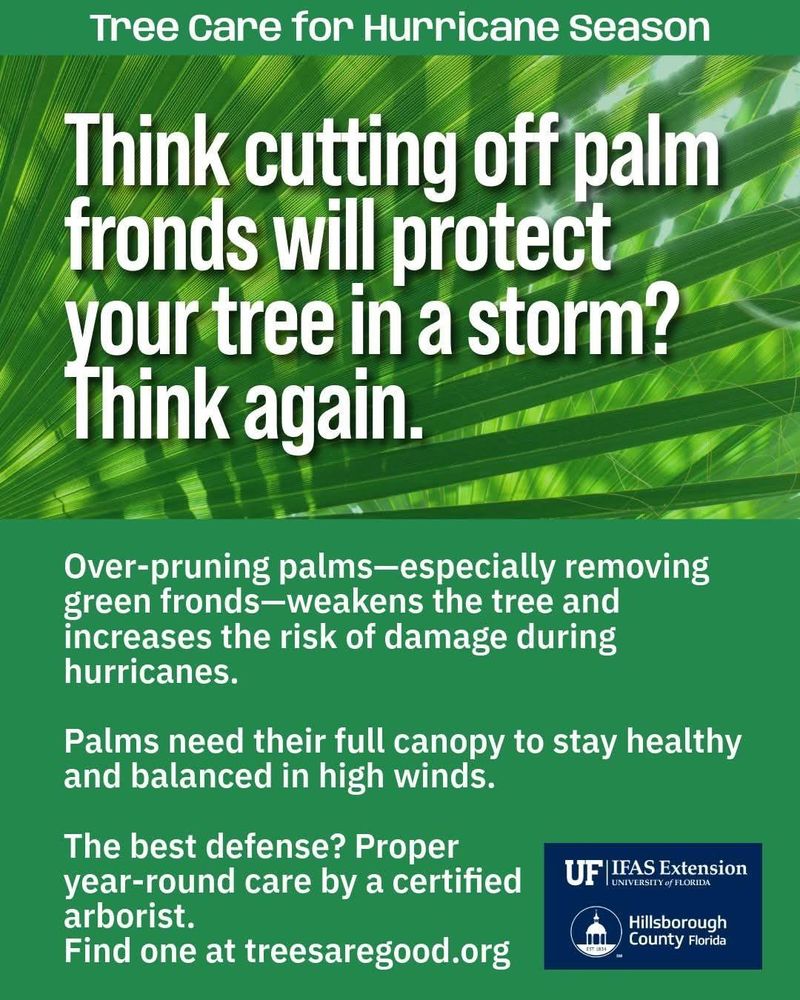 All Photos for TREE BOYS in Ruskin, FL