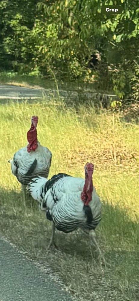 All Photos for Newbury Construction & Remodeling LLC in Trenton, TN