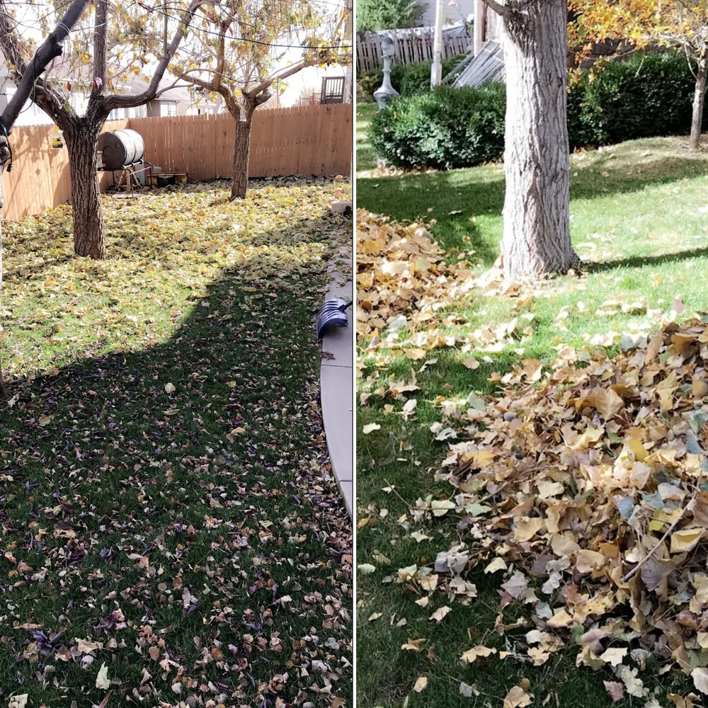 CLEANUPS for Rock Masters Inc. in Evans, CO