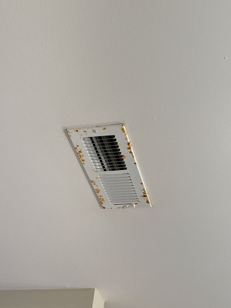 All Photos for Pawleys Island Concierge LLC in Pawleys Island, SC