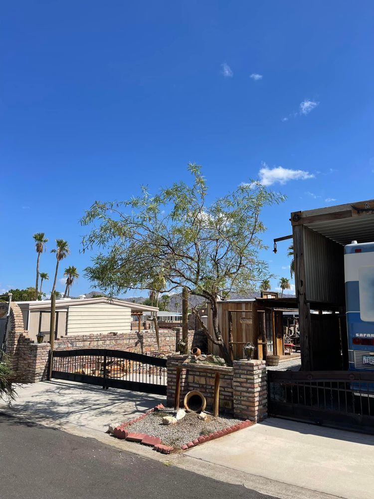 All Photos for Oliver L. Palm & Tree services in Yuma County, AZ