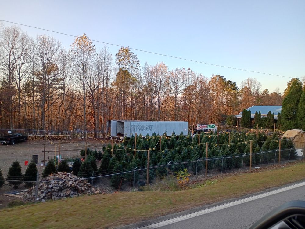 All Photos for BAM Another Pinestraw Lot in Flowery Branch, GA