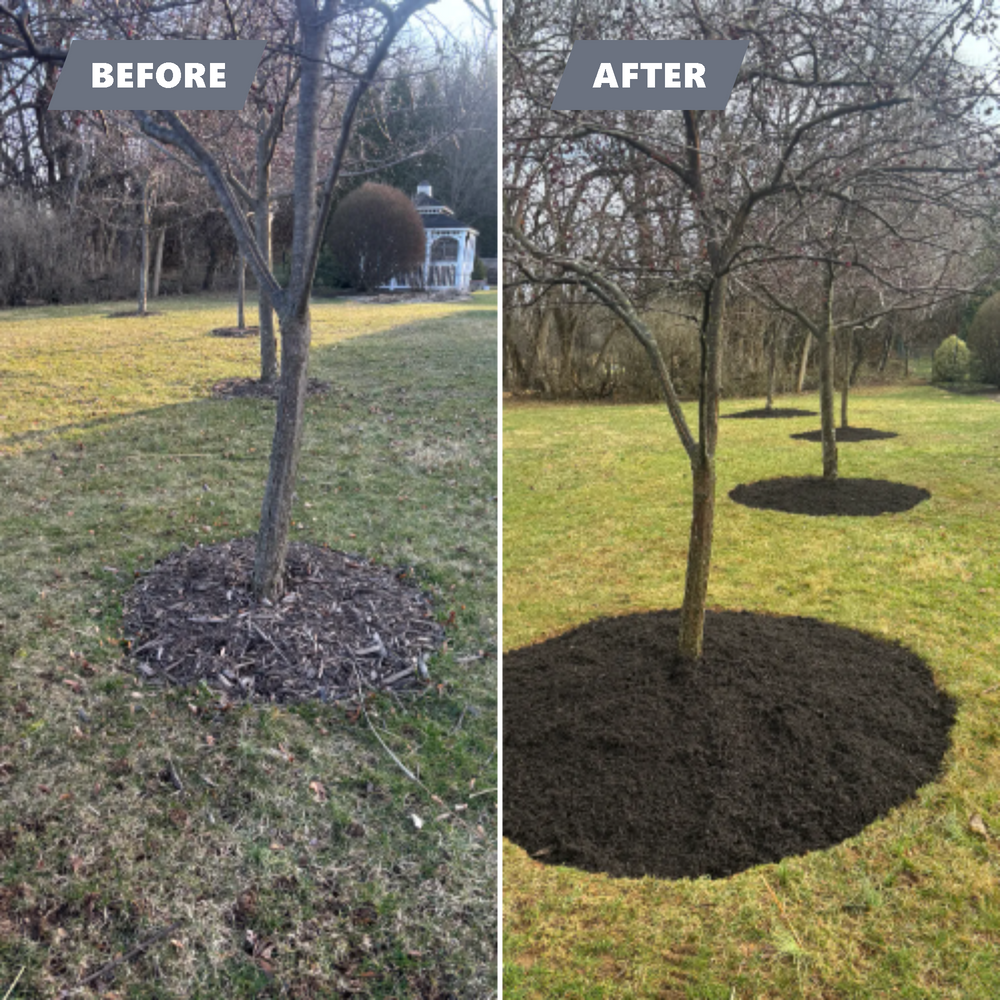 All Photos for Backyard Acres Lawncare LLC in Chambersburg, PA