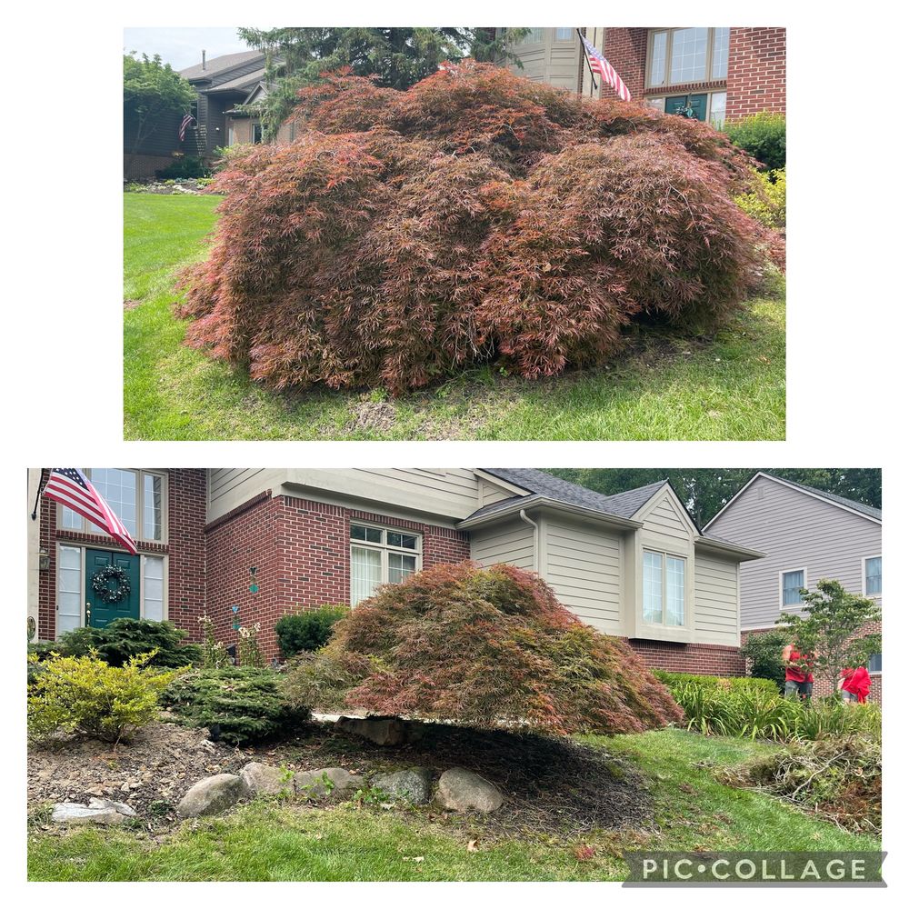 All Photos for Steed's Lawn and Landscape LLC in White Lake, MI