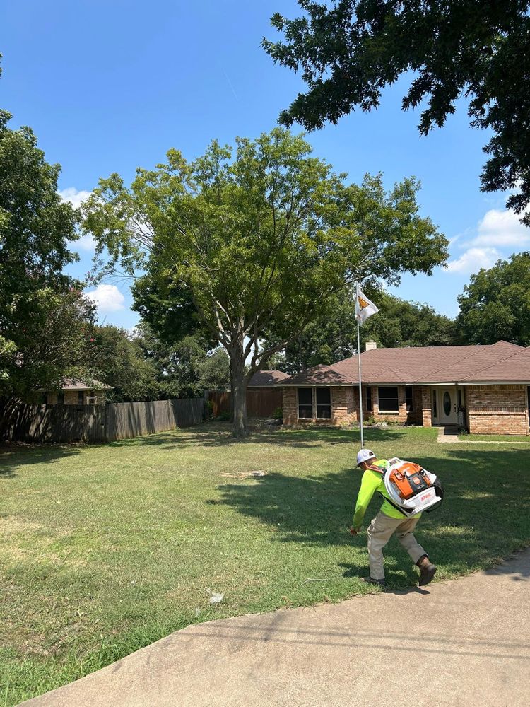 All Photos for Teague Trees and Land Clearing in Rendon, TX