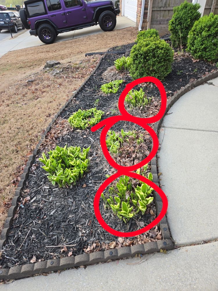 All Photos for Williams Brothers Landscaping & Construction in Atlanta, GA